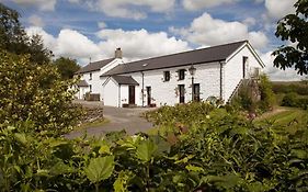 Beili Helyg Farm